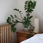 Victoria Design - Premium Ohrada Prague